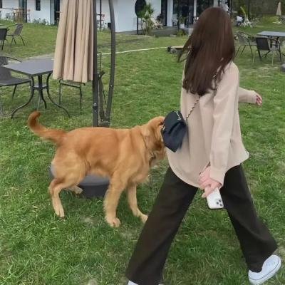 几近完美